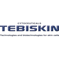 Tebiskin (Тебискин)